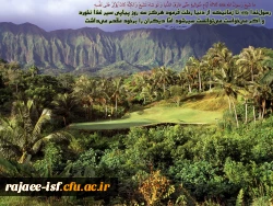 منتخب احادیث 5