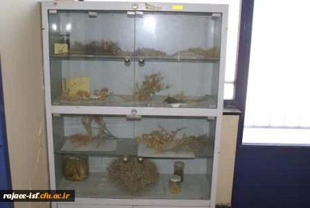 گالری عکس مرکز شهید رجائی اصفهان