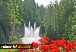 منتخب احادیث