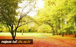 منتخب احادیث