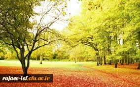 منتخب احادیث