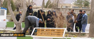 نهال کاری در مرکز شهید رجایی در روز درختکاری