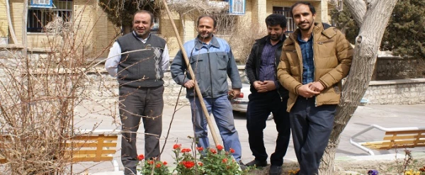 نهال کاری در روز درختکاری