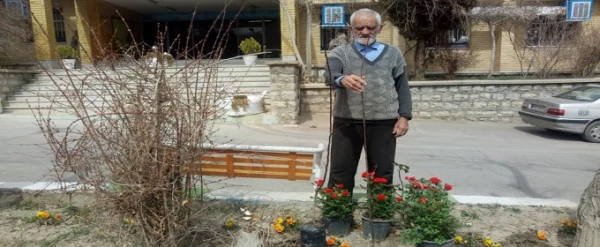 نهال کاری در روز درختکاری