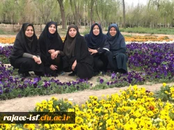 پیاده روی و ورزش کارکنان در جاده سلامت در هفته بهداشت