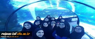 به همت هیئت مذهبی برگزار شد:

اردوی تفریحی مجموعه آکواریوم در هفته گرامیداشت دانشجو