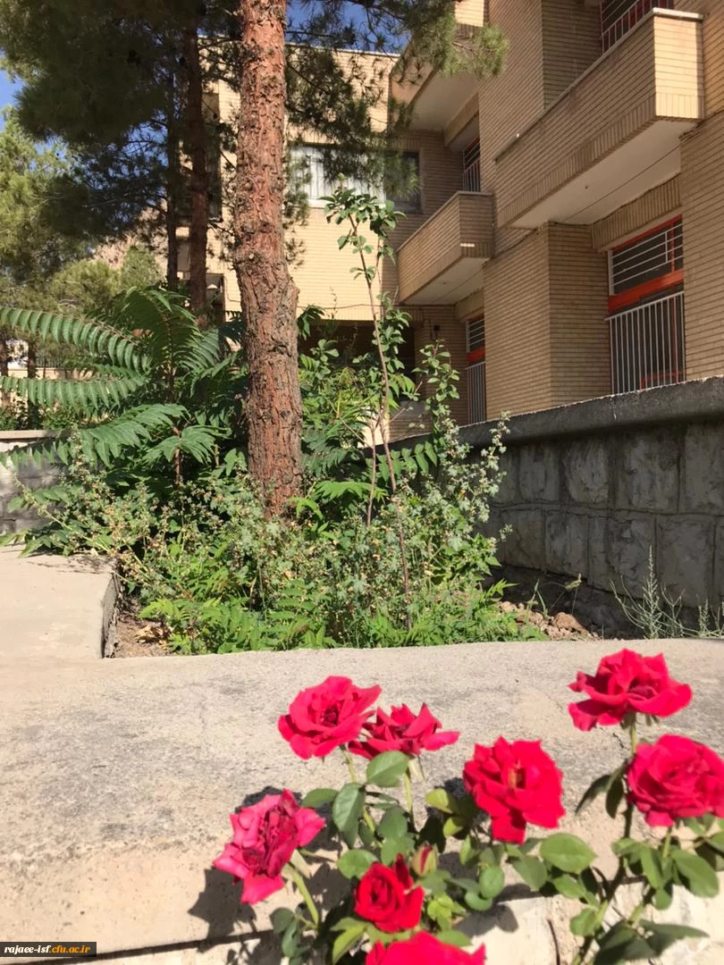 سرای دانشجویی