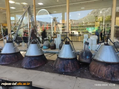 اردوی کاشان به مناسبت روز دختر 