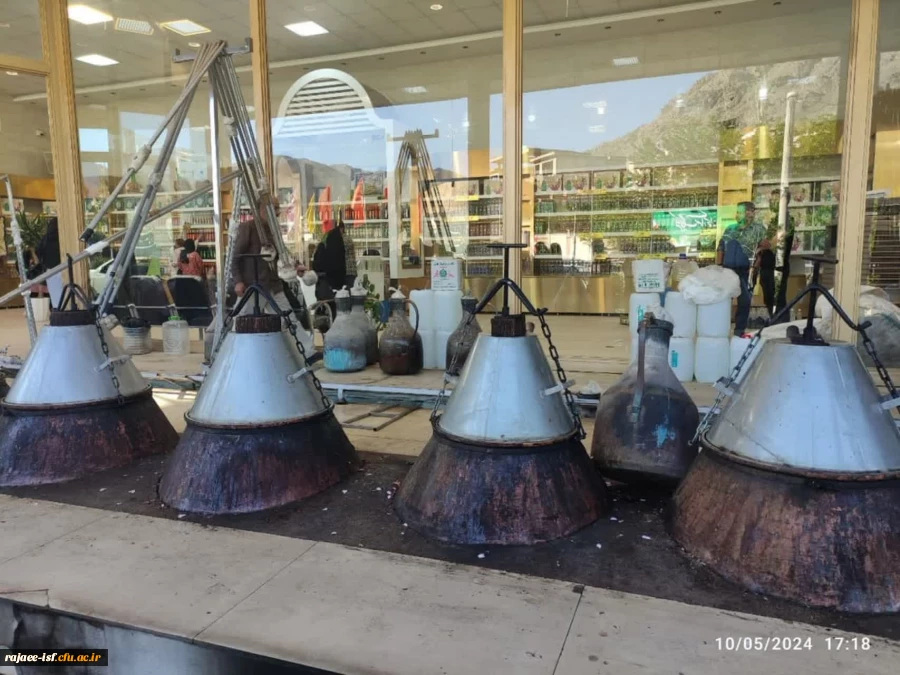 اردوی کاشان به مناسبت روز دختر  2