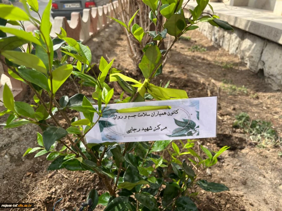 روز درختکاری گرامی باد 4