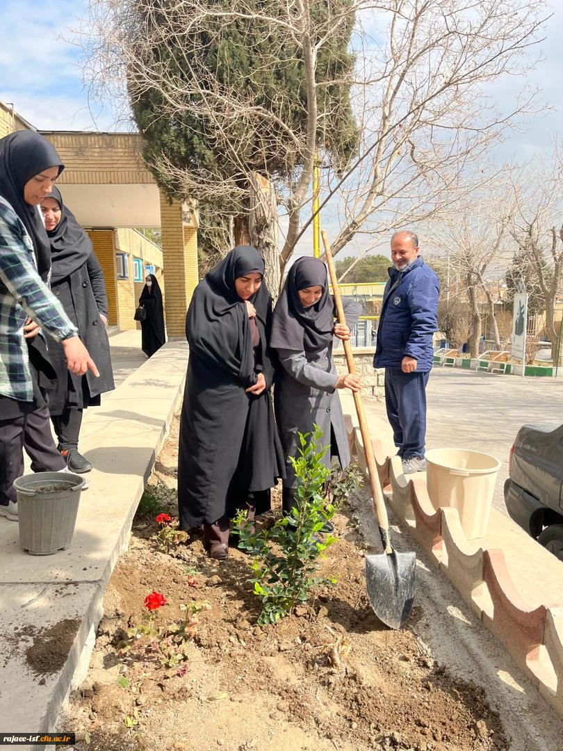 روز درختکاری گرامی باد 6