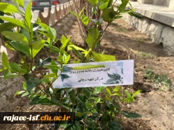 روز درختکاری گرامی باد 6