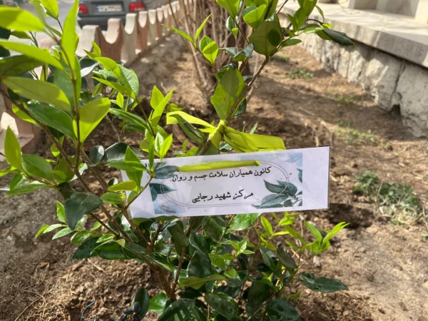 روز درختکاری گرامی باد 6