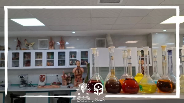 برگزاری کارگاه از مشاهده تا ازمایش 3